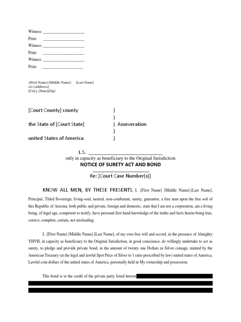 Surety Bond Template PDF Collateral Estoppel Res Judicata