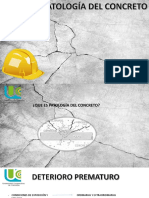 Nuevas Patología Del Concreto Industrial