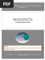 Flauta e Violino Icm 2019