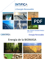 08 U Científica  BIOMASA.pdf