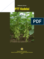 Ptt kedelai