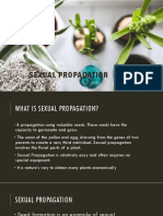 Sexual Propagation