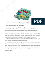 Konsep Dasar Protein Buatku