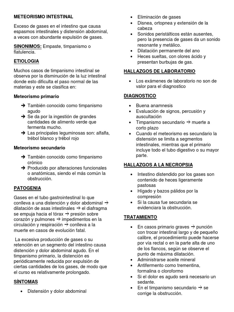 Meteorismo Intestinal Compañeros | PDF | Heces | Abdomen
