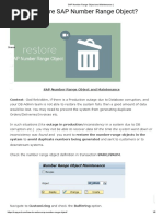 SAP Number Range Object and Maintenance