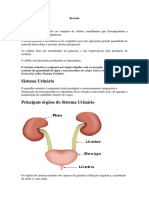 Revisão