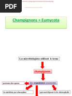 L3 Mycologie