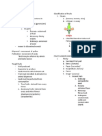 Classification of Fruits Guide