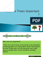 Why Are Trees Important