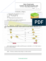 4.2 - Ficha de Trabalho - Grandes Etapas Na História Da Terra (1)(1)