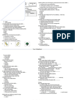 Pas KLS 2 T-1 2018