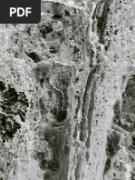 Pacific o Navio a Dobra Do Filme