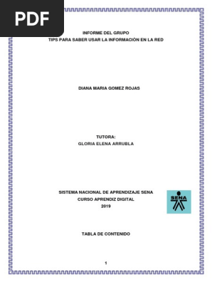 Informe Servicio De Redes Sociales Internet