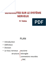 Generalites Sur Le Système Nerveux