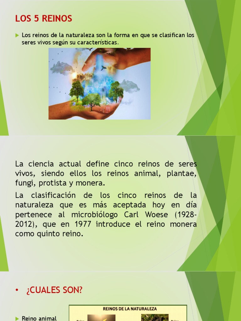 5 Reinos Completo | PDF | Protozoos | Plantas