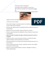 Como Prevenir El Dengue