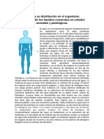 El Agua y Su Distribución en El Organismo 