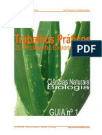 Trabalhos_Praticos_-_20_Protocolos_Exper.pdf