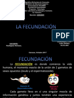 fecundacion-171013144917.pdf