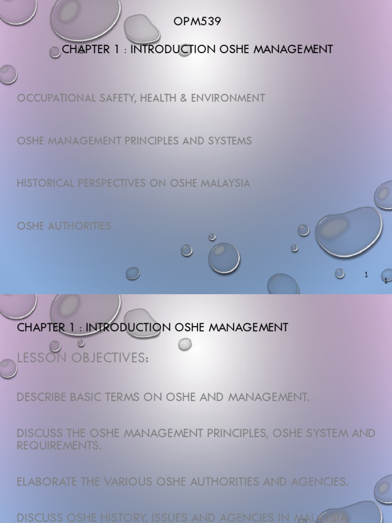 OSHE Management Overview in Malaysia | PDF | Hazards | Occupational ...