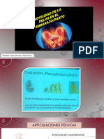 5. Movilidad de pelvis en embarazo y parto.pdf