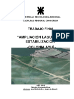Proyecto Final - Lagunas de Estabilizacion Colonia Ayui PDF