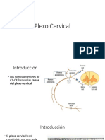 Plexo Cervical.pptx