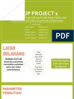 Grup Project 1