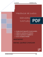 DENSIDAD NATURAL.docx