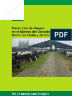 Prevencion de Riesgos en El Manejo Del Ganado Bovino PDF