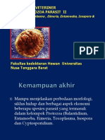 Chapter 3 - Protozoa 2 - Toksoplasmosis '