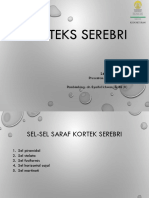 2018 02 20 Korteks Serebri