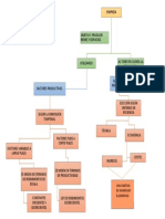 Mapa Conceptual