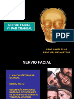 12) Nervio Facial