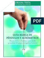 guia basica pendulo.pdf