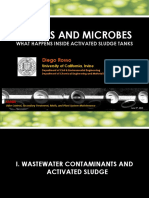 Rosso - Bubble and Microbes What Happens Inside Activated Sludge Tanks PDF