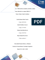 Trabajo - en - Grupo - Tarea2 - Hidrocarburos Aromáticos, Alcoholes y Aminas - 100416 - 15 PDF