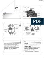 1 Anatomi Renal Jantung PDF