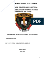 Informe PNP Practica PDF