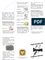 Dengue Pamphlet