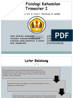 Kajian Fisiologi Kehamilan Trimester I