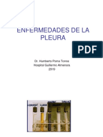 Enfermedades de La Pleura 2019