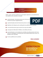 1_Aula 3 - Principais aspectos e procedimentos da audiência de custódia.pdf