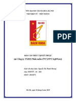Report FPT PDF