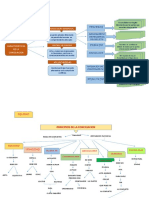 Mapa Conceptual Principios