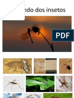 insecta.pdf
