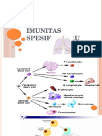 imunitas paru dani.pptx