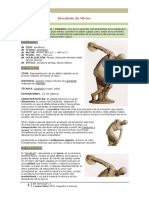 Comentario Discobolomiron-188 PDF
