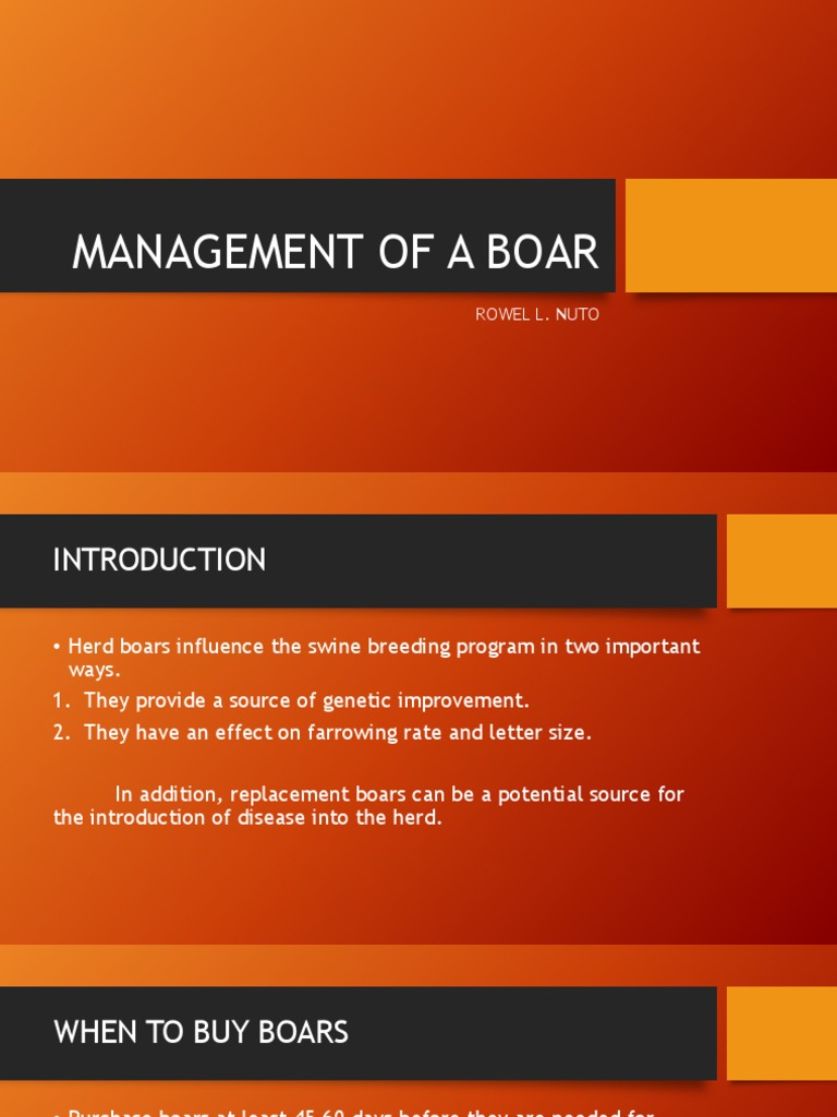 Boar Management and Health Practices | PDF | Wild Boar | Domestic Pig