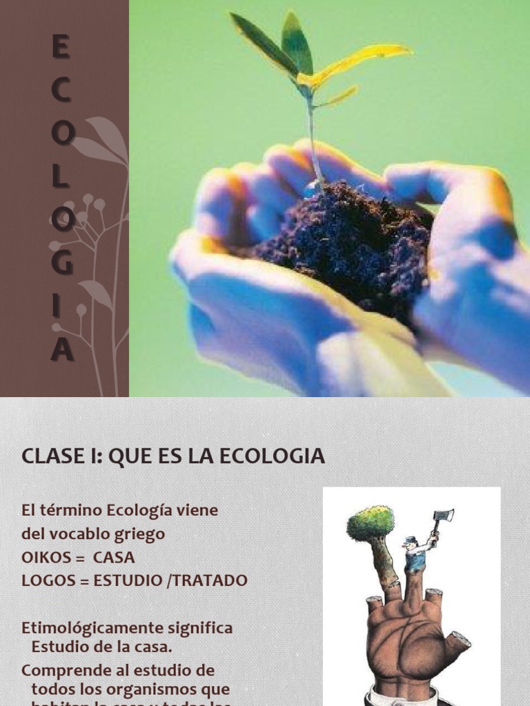 Clase 1 | PDF | Ecología | Organismos